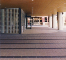 �_�C�m�b�N�V�[�g�^���O�p�ό󐫃t�B����